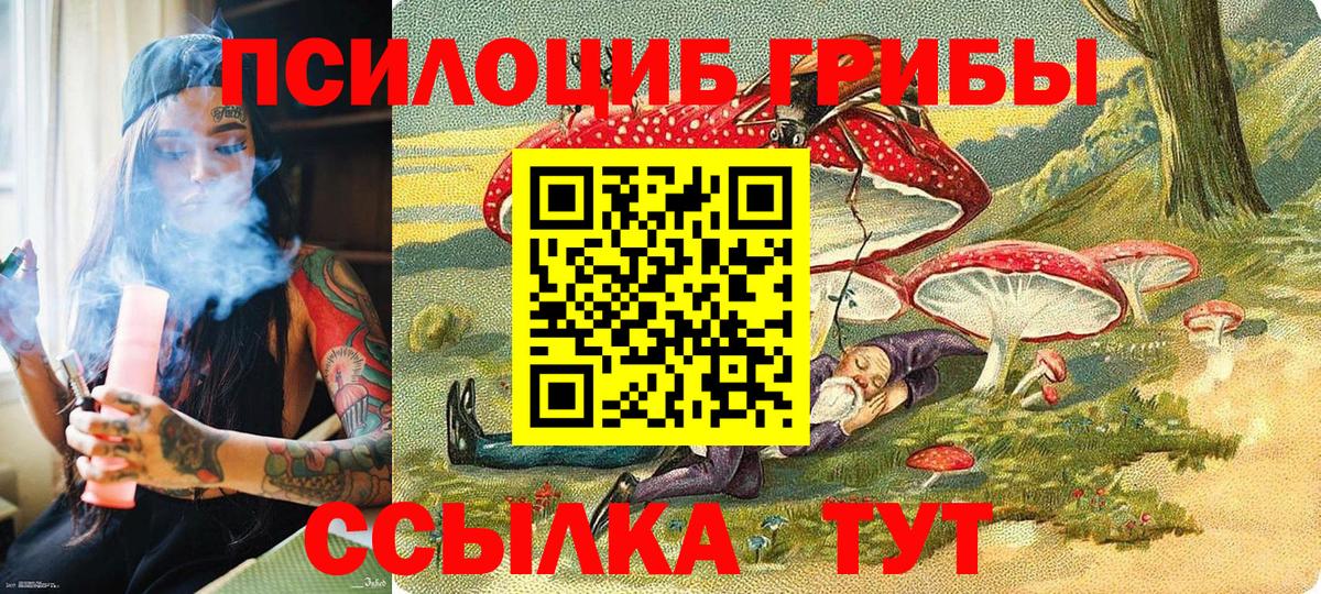 Псилоцибиновые грибы GOLDEN TEACHER Старая Русса
