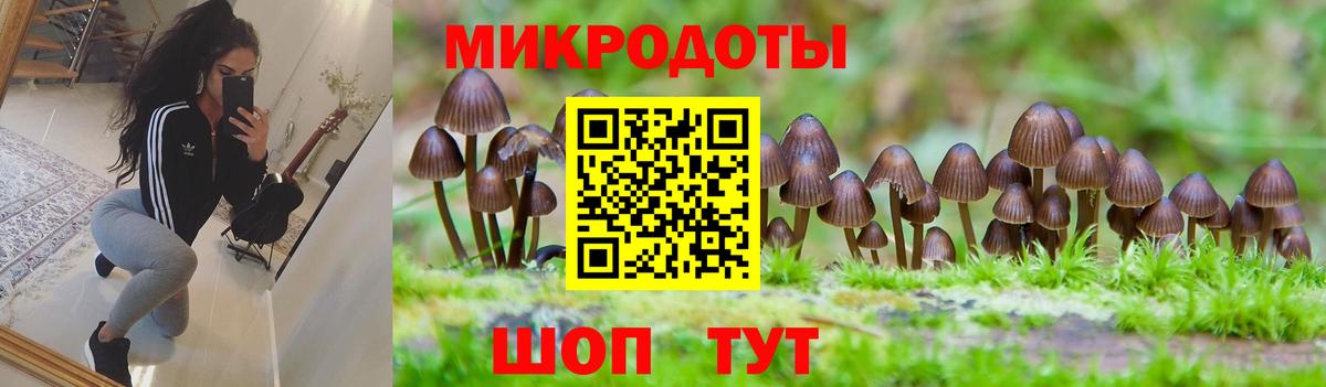 Псилоцибиновые грибы прущие грибы  Псилоцибиновые грибы Psilocybine cubensis  Старая Русса  Вход с VPN 